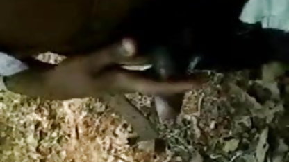 Cougars के Boobsville सेक्सी पिक्चर वीडियो सेक्सी वीडियो