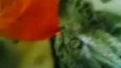 निकी सेक्सी फिल्म भेजिए हिंदी Sexx